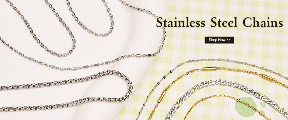 Stainless Steel Chain